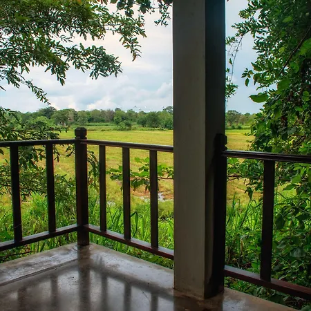 Camellia Resort And Spa-2